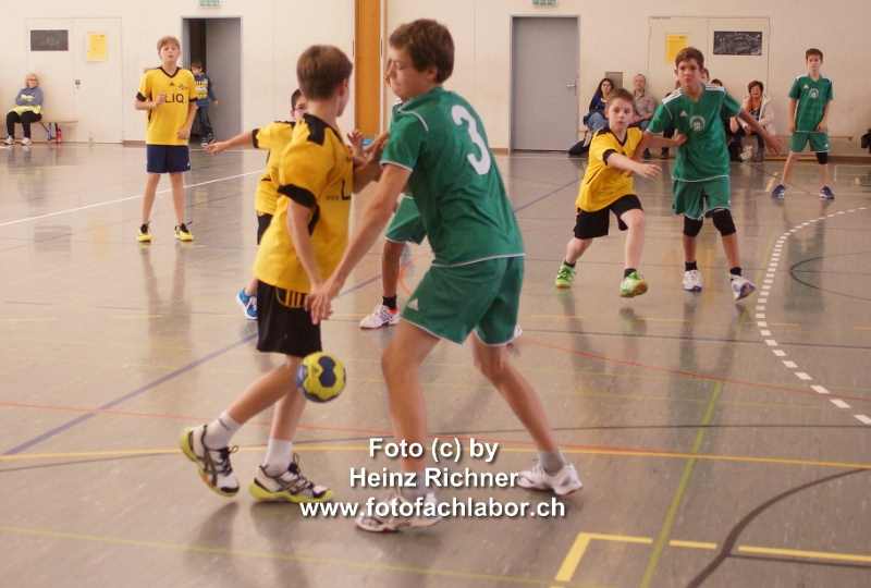 3110208 hvo_2.jpg